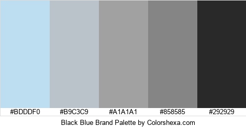 Black Blue Brand Colors Logo
