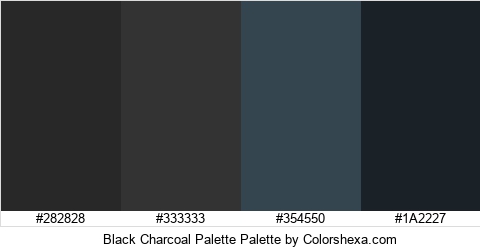 Black Charcoal Palette Colors Logo