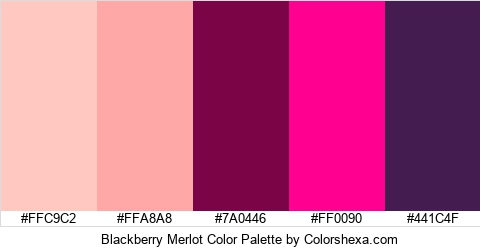 Blackberry Merlot Color Colors Logo