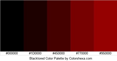 Blacktored Color Colors Logo