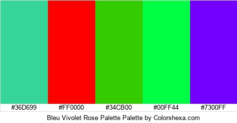 Bleu Vivolet Rose Palette Colors Logo