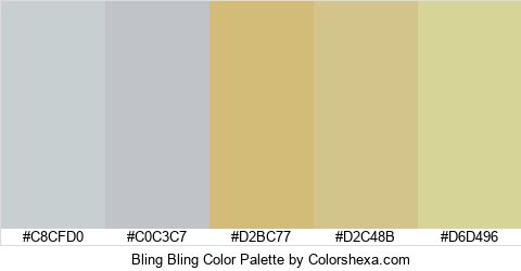 Bling Bling Color Colors Logo