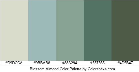 Blossom Almond Color Colors Logo