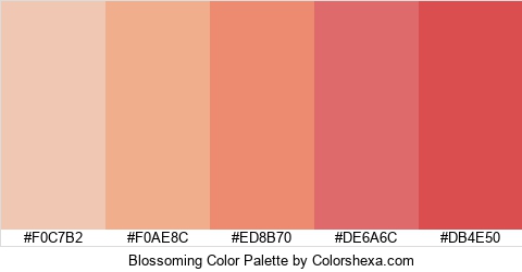 Blossoming Color Colors Logo