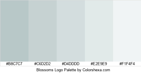 Blossoms Logo Colors Logo
