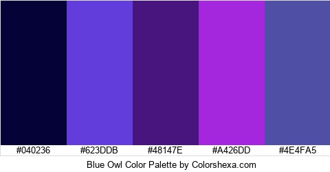 Blue Owl Color Colors Logo