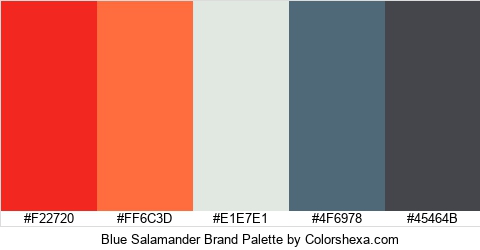 Blue Salamander Brand Colors Logo
