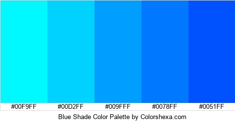 Blue Shade Color Colors Logo