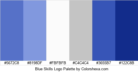 Blue Skills Logo Colors Logo