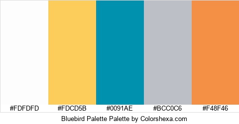 Bluebird Palette Colors Logo