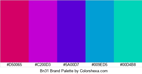 Bn31 Brand Colors Logo