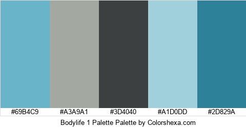 Bodylife 1 Palette Colors Logo