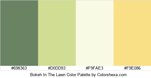 Bokeh In The Lawn Color Colors Logo