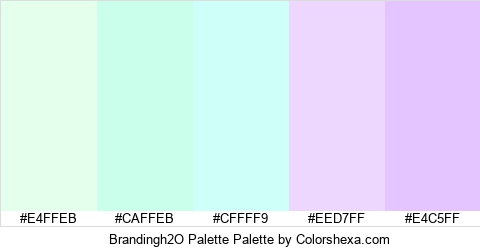 Brandingh2O Palette Colors Logo