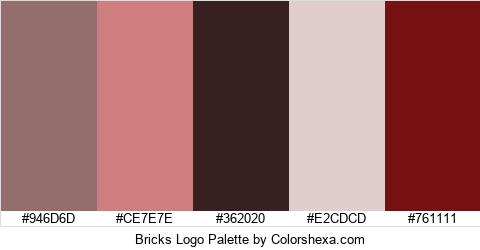 Bricks Logo Colors Logo