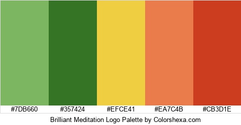 Brilliant Meditation Logo Colors Logo