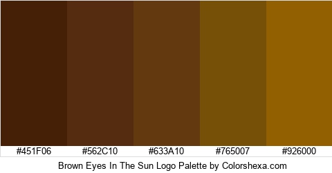 Brown Eyes In The Sun Logo Colors Logo
