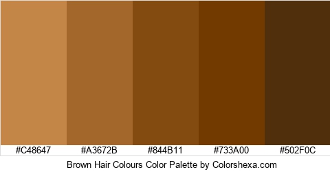Brown Hair Colours Color Palette Other Miscellaneous has 5 Hex Colors.