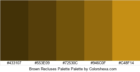 Brown Recluses Palette Colors Logo