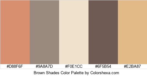 Brown Shades Color Colors Logo