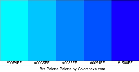 Brs Palette Colors Logo