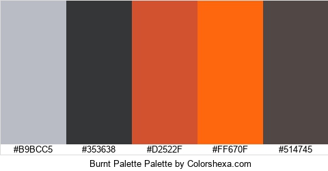 Burnt Palette Colors Logo