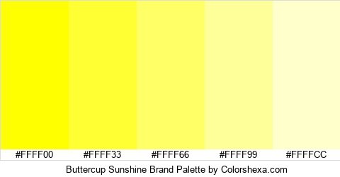 Buttercup Sunshine Brand Colors Logo