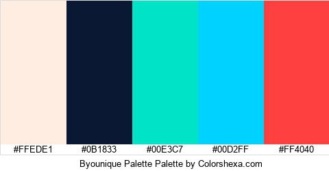 Byounique Palette Colors Logo
