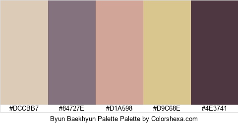 Byun Baekhyun Palette Colors Logo