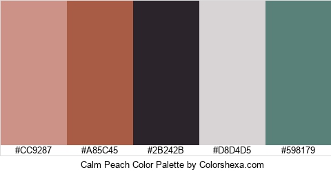 Calm Peach Color Colors Logo