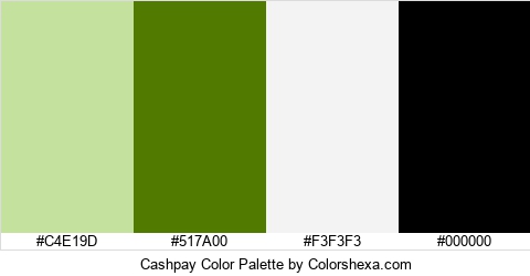Cashpay Color Colors Logo