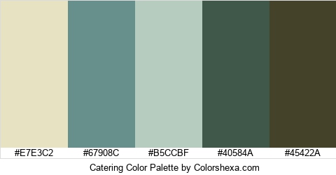 Catering Color Colors Logo