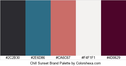 Chill Sunset Brand Colors Logo