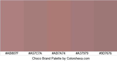 Choco Brand Colors Logo