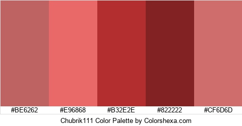 Chubrik111 Color Colors Logo