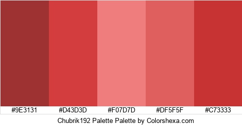 Chubrik192 Palette Colors Logo