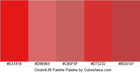 Chubrik38 Palette Colors Logo