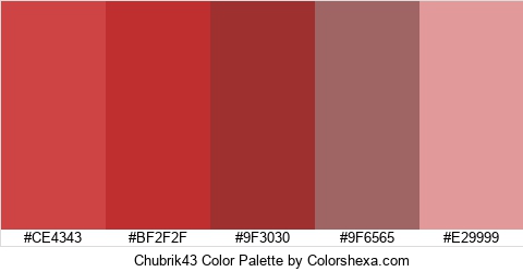 Chubrik43 Color Colors Logo