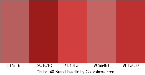 Chubrik48 Brand Colors Logo