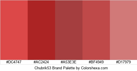 Chubrik53 Brand Colors Logo