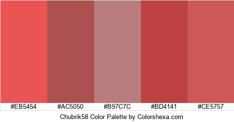Chubrik58 Color Colors Logo