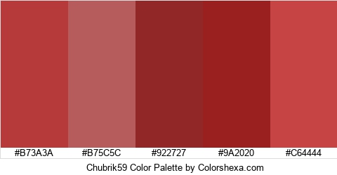 Chubrik59 Color Colors Logo