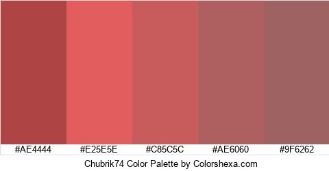 Chubrik74 Color Colors Logo