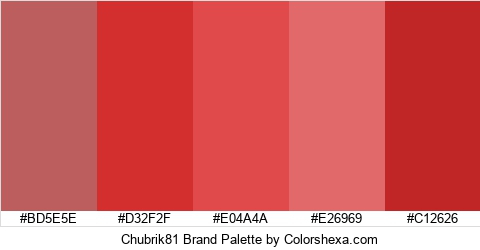 Chubrik81 Brand Colors Logo