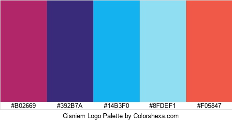 Cisniem Logo Colors Logo