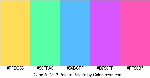 Citric A Dot 2 Palette Colors Logo