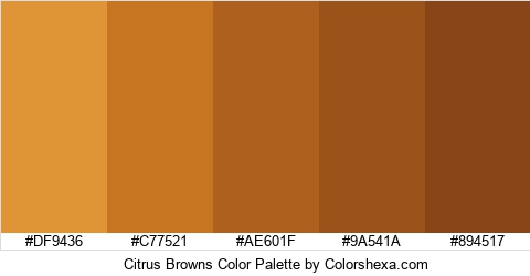 Citrus Browns Color Colors Logo