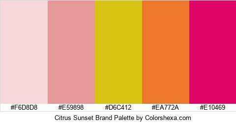 Citrus Sunset Brand Colors Logo