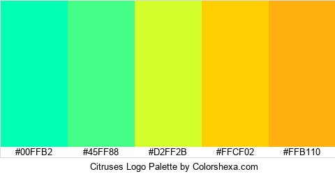Citruses Logo Colors Logo