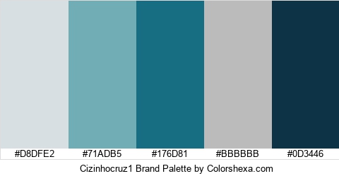 Cizinhocruz1 Brand Colors Logo